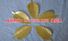 <b>南湾腐刻加工_喇叭网蚀刻</b>