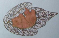 <b>坑梓腐刻加工_标牌蚀刻</b>