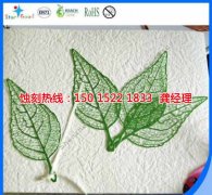 <b>杏坛腐刻加工_喇叭网蚀刻</b>