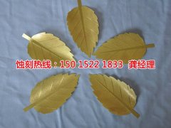 <b>连云港蚀刻加工_金属蚀刻</b>