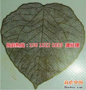 <b>芳村铁网蚀刻联系电话</b>